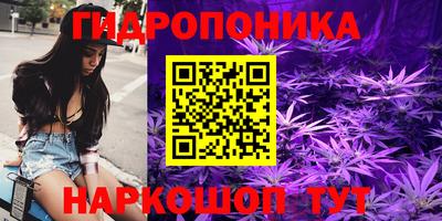 jwh Будённовск