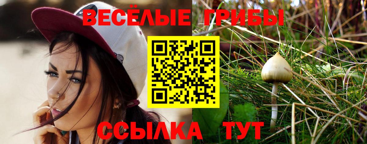 Галлюциногенные грибы Magic Shrooms Прохладный