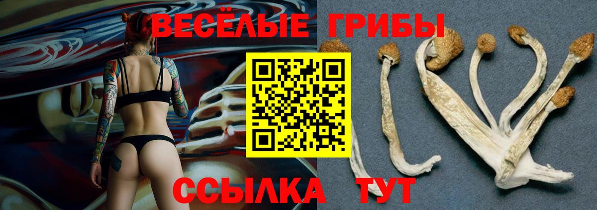 Прохладный  Галлюциногенные грибы MAGIC MUSHROOMS  Вход с VPN 